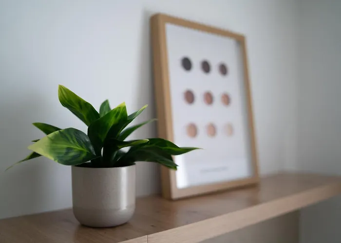 Apartment Modernes, Zentrales Mit Boxspringbett Und Waschmaschine *