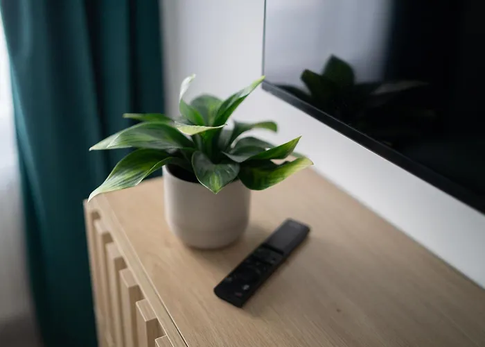 Modernes, Zentrales Mit Boxspringbett Und Waschmaschine Apartment